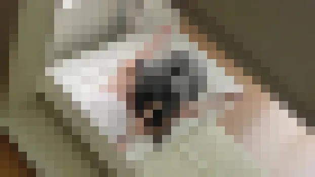 盗撮されることが夢だったカップルの素人盗撮投稿ビデオ